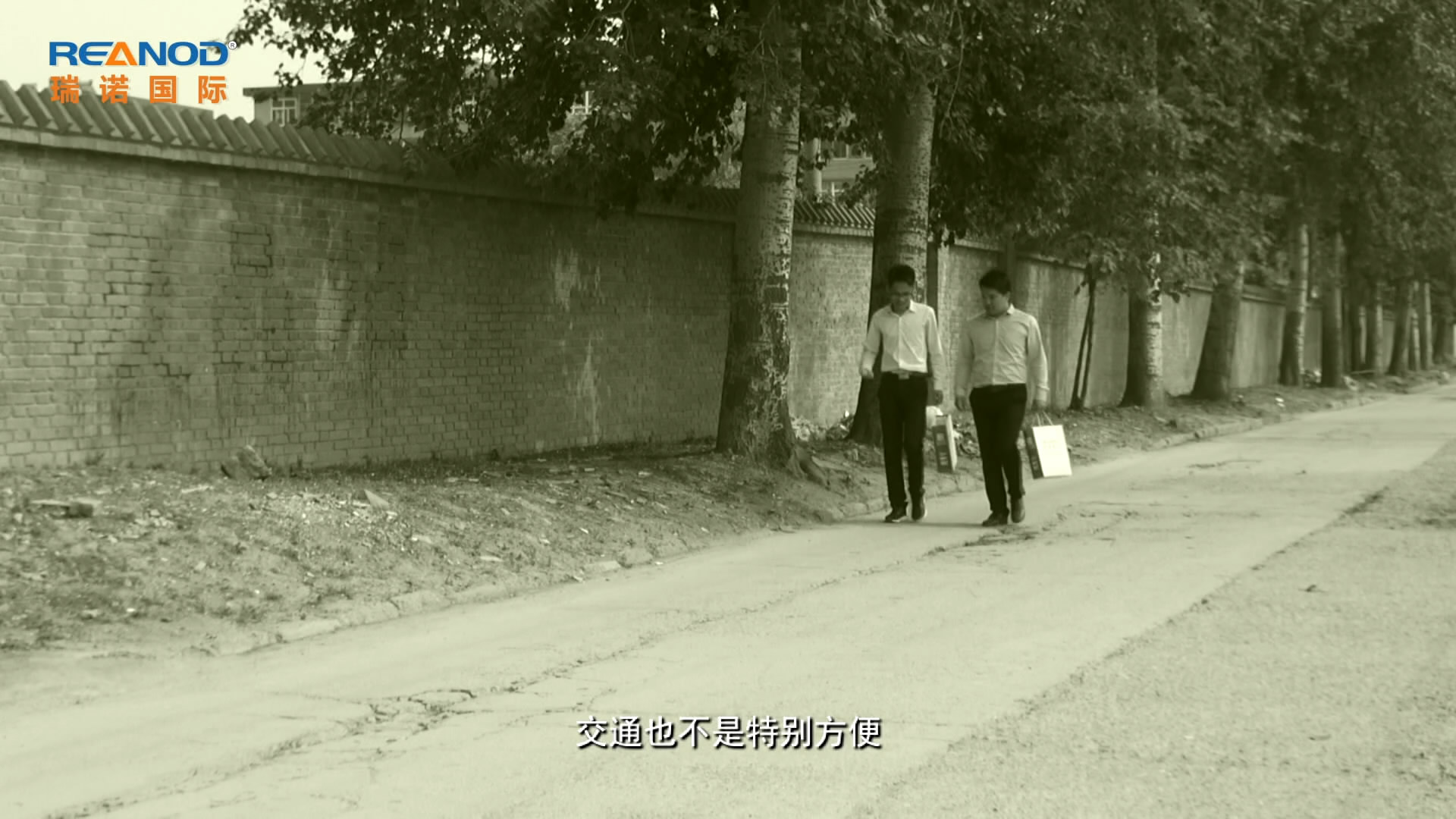 瑞諾國際 瑞諾國際